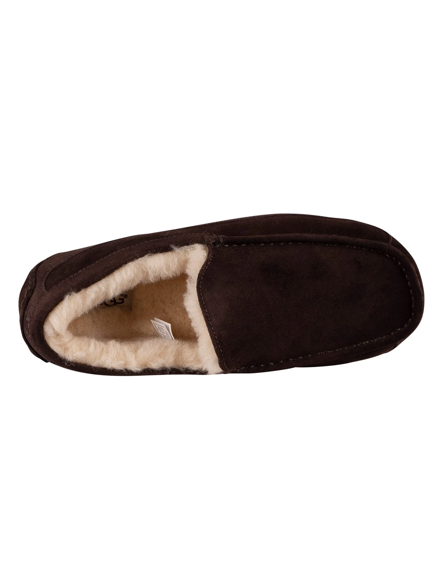 UGG Ascot Suede Slippers - Espresso 6 UGG Ascot Suede Slippers - Espresso - Image 6